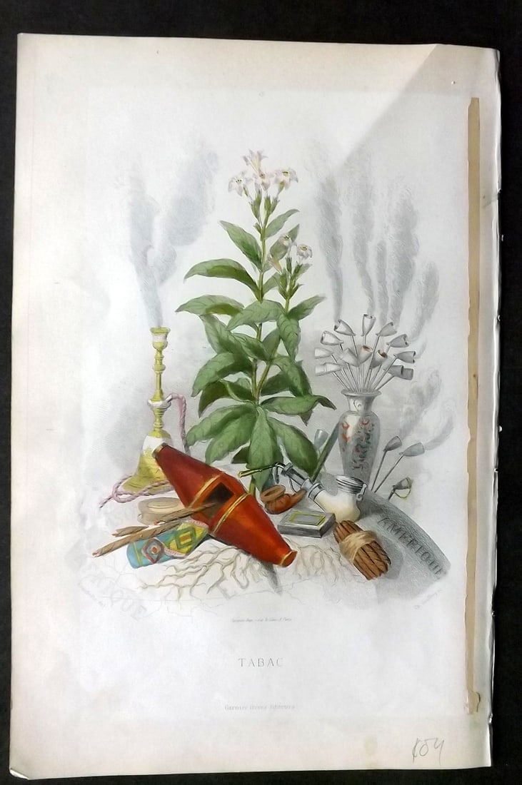 Grandville, J. J (Pseud) 1867 Hand Col Botanical Print. Tabac Tobacco: Hand Coloured Steel Engraving Published 1867, Paris for "Les Fleurs Animees" Jean Ignace Isidore G?rard (J. J. Grandville Pseud) Paper Size: 10.5 x 7 inch (27 x 18cm) Very minor margin toning. Tissue