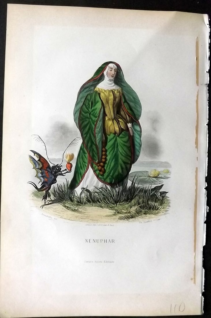 Grandville, J. J (Pseud) 1867 Hand Col Botanical Print. Nenuphar: Hand Coloured Steel Engraving Published 1867, Paris for "Les Fleurs Animees" Jean Ignace Isidore G?rard (J. J. Grandville Pseud) Paper Size: 10.5 x 7 inch (27 x 18cm) Very minor margin toning. Tissue