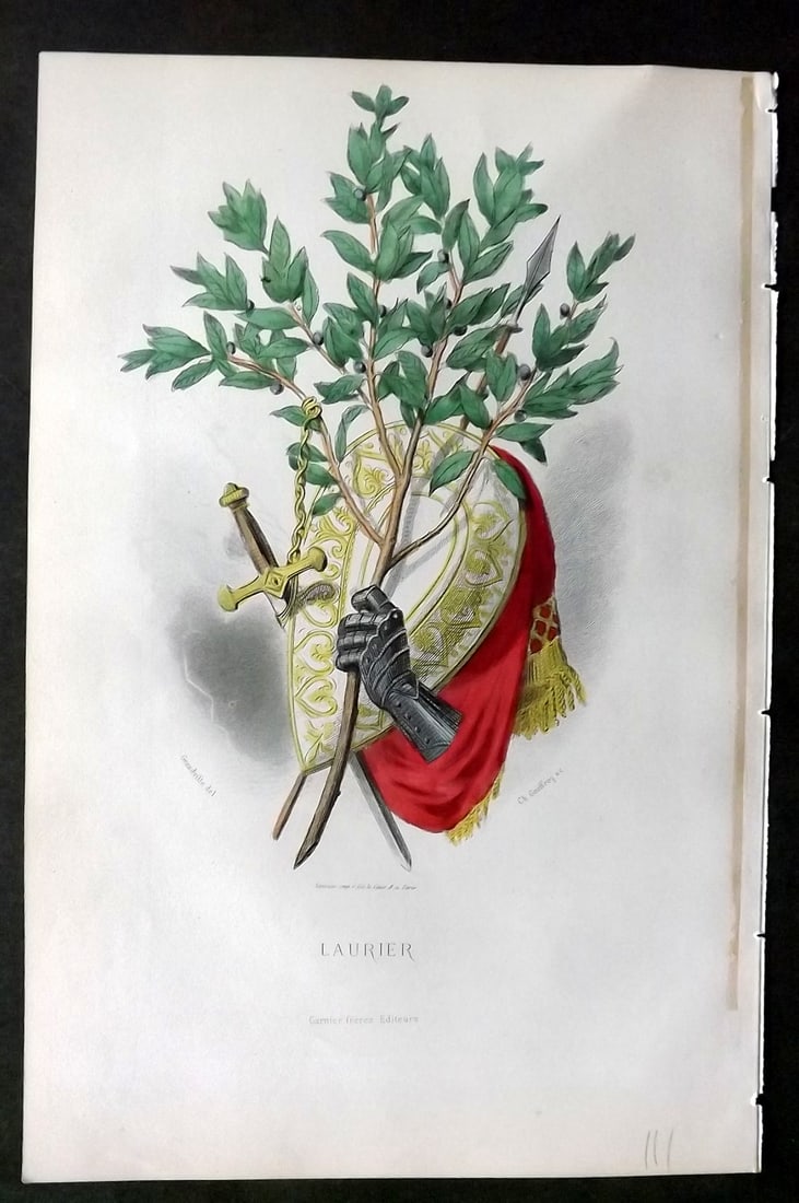 Grandville, J. J (Pseud) 1867 Hand Col Botanical Print. Laurier: Hand Coloured Steel Engraving Published 1867, Paris for "Les Fleurs Animees" Jean Ignace Isidore G?rard (J. J. Grandville Pseud) Paper Size: 10.5 x 7 inch (27 x 18cm) Good Condition