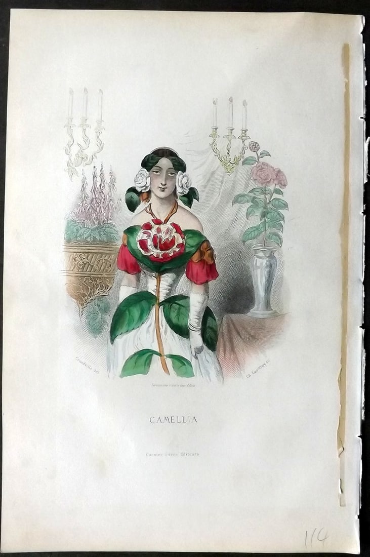 Grandville, J. J (Pseud) 1867 Hand Col Botanical Print. Camellia: Hand Coloured Steel Engraving Published 1867, Paris for "Les Fleurs Animees" Jean Ignace Isidore G?rard (J. J. Grandville Pseud) Paper Size: 10.5 x 7 inch (27 x 18cm) Very minor margin toning. Tissue 