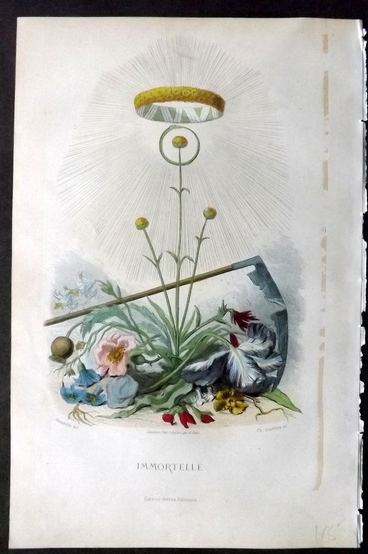Grandville, J. J (Pseud) 1867 Hand Col Botanical Print. Immmortelle: Hand Coloured Steel Engraving Published 1867, Paris for "Les Fleurs Animees" Jean Ignace Isidore G?rard (J. J. Grandville Pseud) Paper Size: 10.5 x 7 inch (27 x 18cm) Very minor margin toning. Tissue 