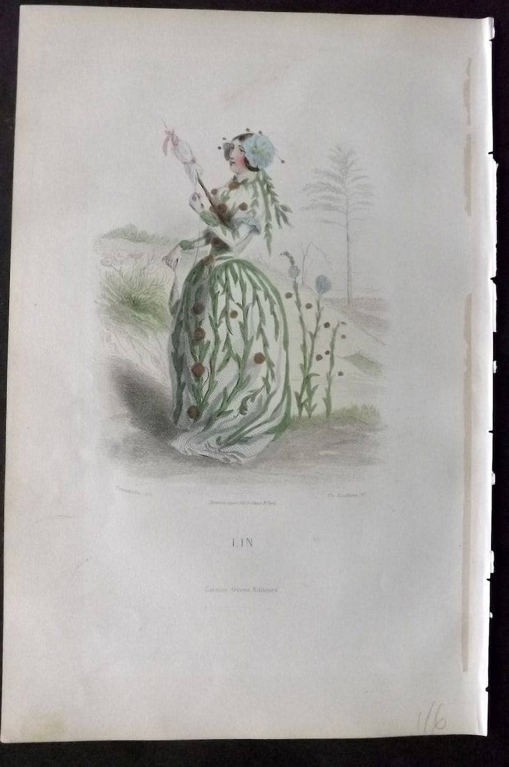 Grandville, J. J (Pseud) 1867 Hand Col Botanical Print. Lin: Hand Coloured Steel Engraving Published 1867, Paris for "Les Fleurs Animees" Jean Ignace Isidore G?rard (J. J. Grandville Pseud) Paper Size: 10.5 x 7 inch (27 x 18cm) Good Condition