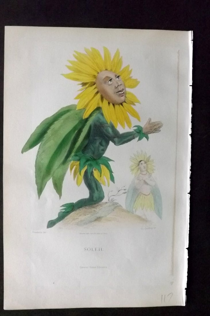 Grandville, J. J (Pseud) 1867 Hand Col Botanical Print. Soleil Sunflower: Hand Coloured Steel Engraving Published 1867, Paris for "Les Fleurs Animees" Jean Ignace Isidore G?rard (J. J. Grandville Pseud) Paper Size: 10.5 x 7 inch (27 x 18cm) Good Condition