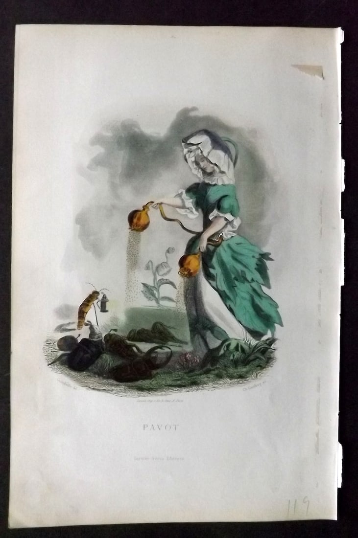 Grandville, J. J (Pseud) 1867 Hand Col Botanical Print. Pavot: Hand Coloured Steel Engraving Published 1867, Paris for "Les Fleurs Animees" Jean Ignace Isidore G?rard (J. J. Grandville Pseud) Paper Size: 10.5 x 7 inch (27 x 18cm) Good Condition