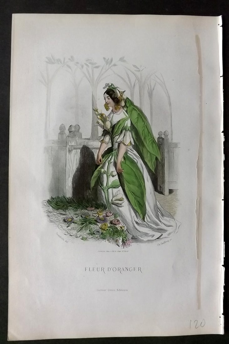 Grandville, J. J (Pseud) 1867 Hand Col Botanical Print. Fleur d'Oranger: Hand Coloured Steel Engraving Published 1867, Paris for "Les Fleurs Animees" Jean Ignace Isidore G?rard (J. J. Grandville Pseud) Paper Size: 10.5 x 7 inch (27 x 18cm) Good Condition