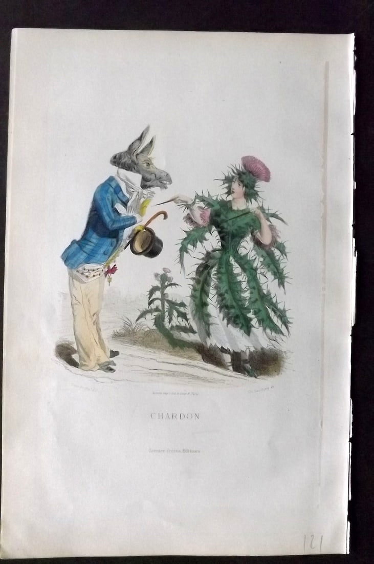 Grandville, J. J (Pseud) 1867 Hand Col Botanical Print. Chardon: Hand Coloured Steel Engraving Published 1867, Paris for "Les Fleurs Animees" Jean Ignace Isidore G?rard (J. J. Grandville Pseud) Paper Size: 10.5 x 7 inch (27 x 18cm) Good Condition