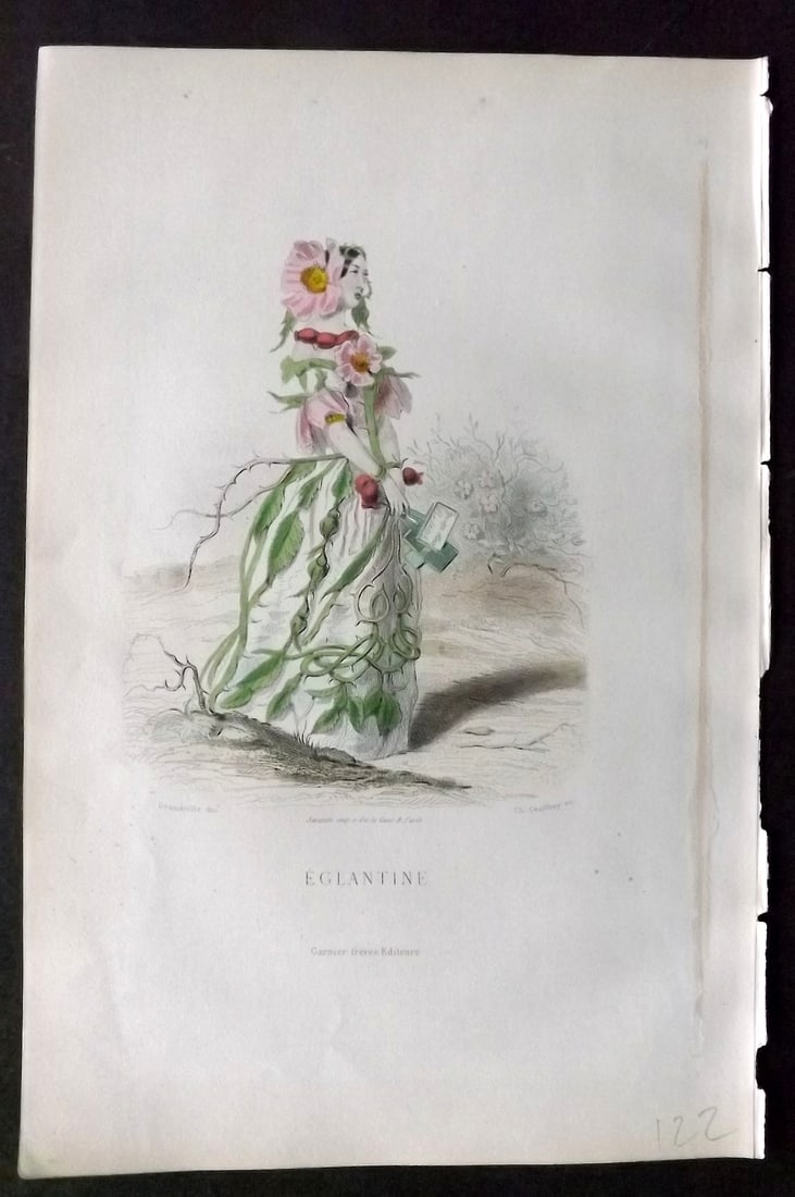 Grandville, J. J (Pseud) 1867 Hand Col Botanical Print. Eglantine: Hand Coloured Steel Engraving Published 1867, Paris for "Les Fleurs Animees" Jean Ignace Isidore G?rard (J. J. Grandville Pseud) Paper Size: 10.5 x 7 inch (27 x 18cm) Good Condition