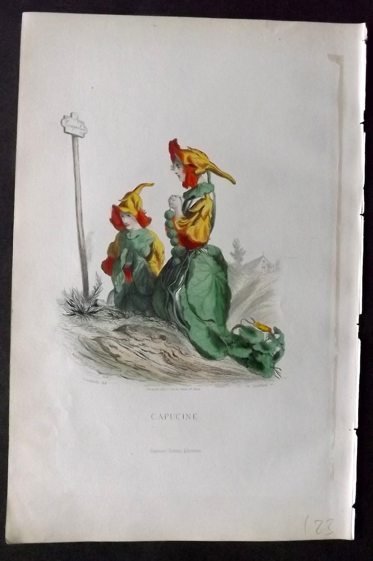 Grandville, J. J (Pseud) 1867 Hand Col Botanical Print. Capucine: Hand Coloured Steel Engraving Published 1867, Paris for "Les Fleurs Animees" Jean Ignace Isidore G?rard (J. J. Grandville Pseud) Paper Size: 10.5 x 7 inch (27 x 18cm) Good Condition