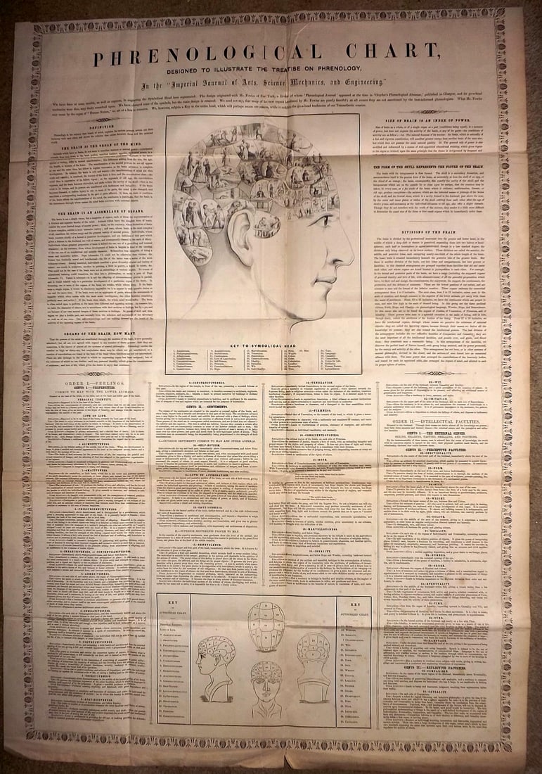Ainsworth, James 1850's LG Folio Medical Print. Phrenological Chart: Large Folio Wood Engraving (Reverse side blank) Published 1851-55, Manchester for "The Imperial Journal of Art, Science, Mechanics and Engineering" by James Ainsworth. Rare. Paper Size: 32.5 x 21.5 in