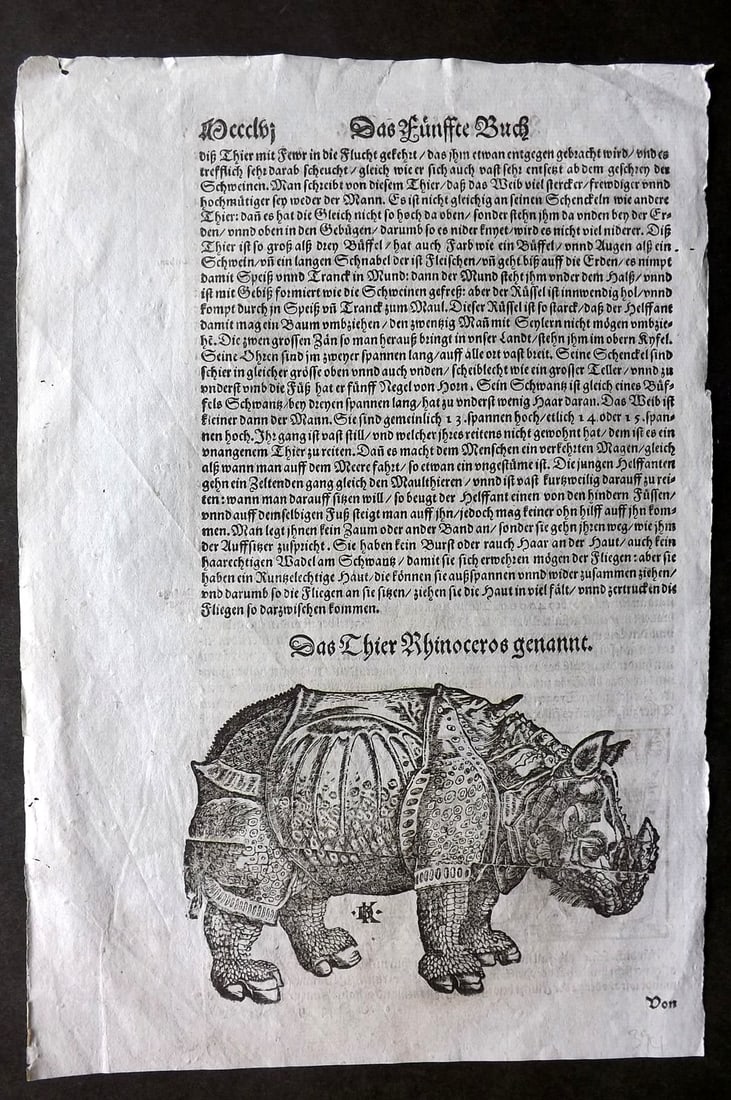 Munster, Sebastian 1578 Early Woodcut. Durer's Rhino: Woodcut Published 1578, Basel for the "Cosmographia" by Sebastian Munster. Printed both sides. Paper Size: 12 x 8 inch (30 x 20cm) Approx. Very slight Printing flaw on image as often, but less