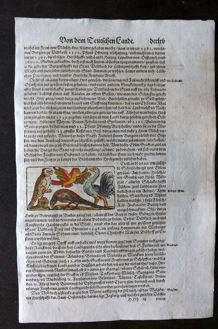 Munster, Sebastian 1588 Early Hand Col Woodcut. Birds - Owl etc (1 of 2)