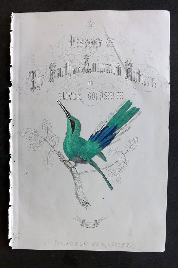 Goldsmith, Oliver C1850 Hand Col Bird Print. Hummingbird Illus. Title (1 of 1)