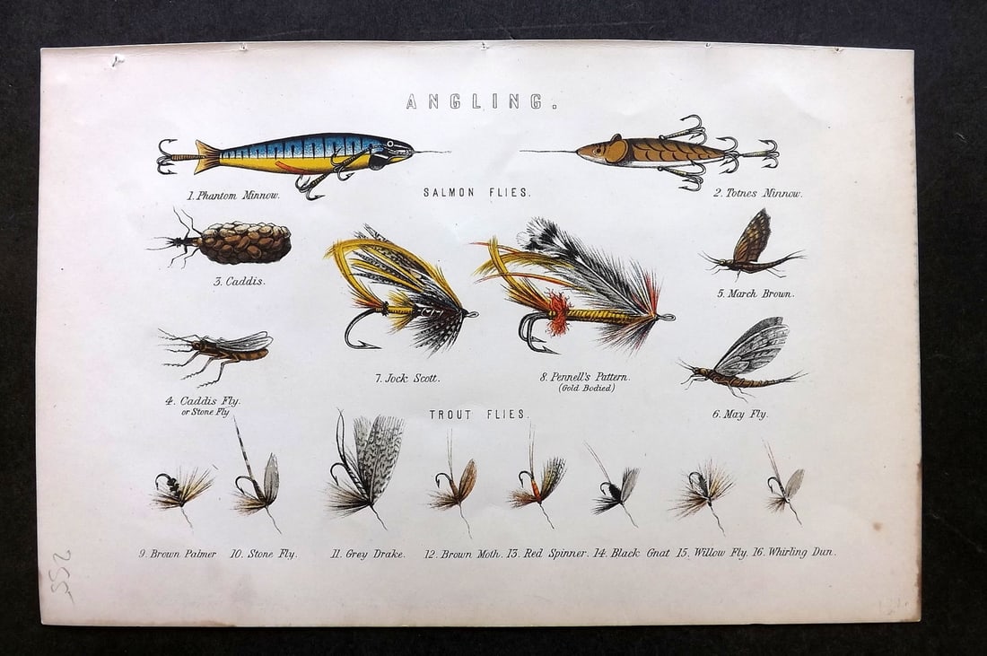 National Encyclopedia 1891 Print. Angling Fly Fishes (1 of 1)