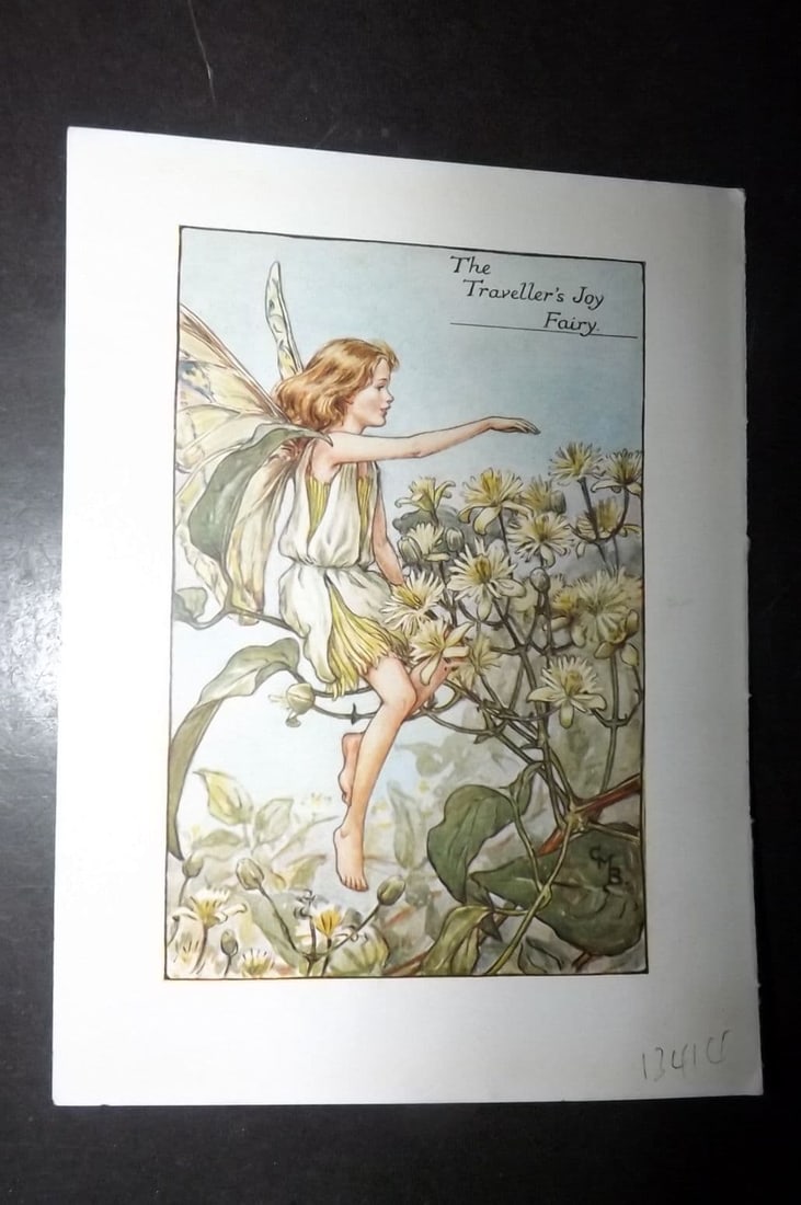 Cicely Mary Barker 1940's Flower-Fairy Print. The Traveller's Joy Fairy: Vintage Lithograph Published C1935-45 by Blackie & Son, London & Glasgow for the "Flower-Fairies" Series by Cicely Mary Barker. Reverse side blank. Paper Size: 5.5 x 4 inch (14 x 10cm)