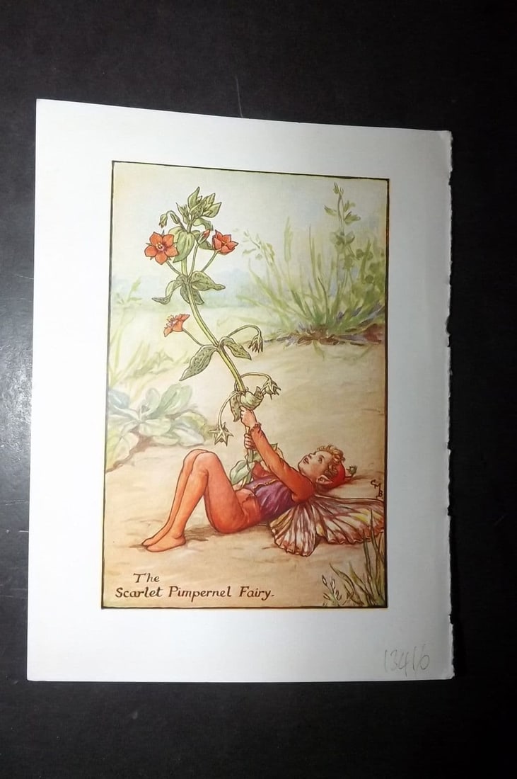 Cicely Mary Barker 1940's Flower-Fairy Print. Scarlet Pimpernel Fairy: Vintage Lithograph Published C1935-45 by Blackie & Son, London & Glasgow for the "Flower-Fairies" Series by Cicely Mary Barker. Reverse side blank. Paper Size: 5.5 x 4 inch (14 x 10cm)
