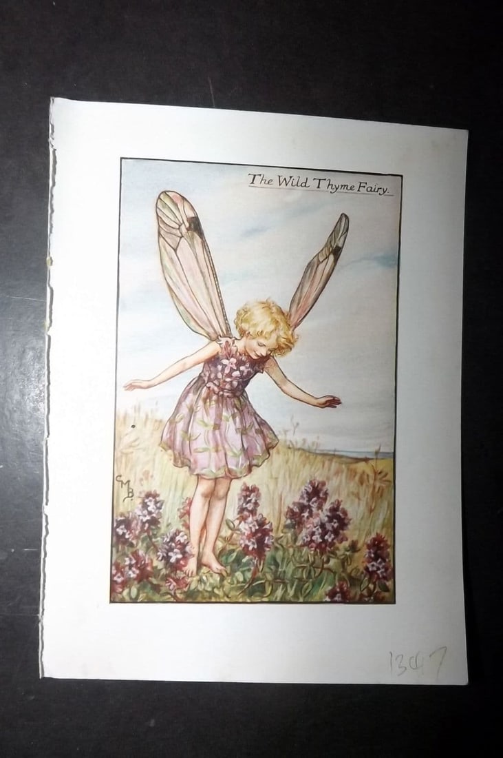Cicely Mary Barker 1940's Flower-Fairy Print. Wild Thyme Fairy: Vintage Lithograph Published C1935-45 by Blackie & Son, London & Glasgow for the "Flower-Fairies" Series by Cicely Mary Barker. Reverse side blank. Paper Size: 5.5 x 4 inch (14 x 10cm)