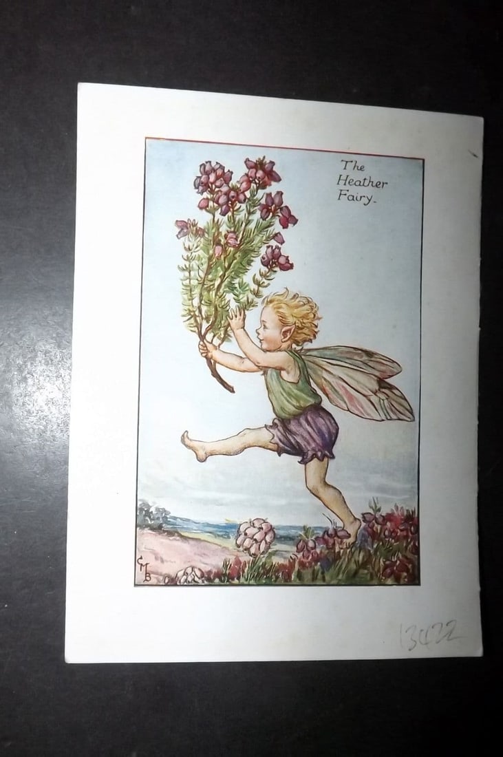 Cicely Mary Barker 1940's Flower-Fairy Print. Heather Fairy: Vintage Lithograph Published C1935-45 by Blackie & Son, London & Glasgow for the "Flower-Fairies" Series by Cicely Mary Barker. Reverse side blank. Paper Size: 5.5 x 4 inch (14 x 10cm)