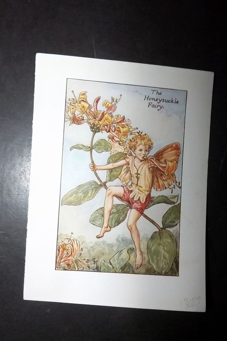 Cicely Mary Barker 1940's Flower-Fairy Print. Honeysuckle Fairy: Vintage Lithograph Published C1935-45 by Blackie & Son, London & Glasgow for the "Flower-Fairies" Series by Cicely Mary Barker. Reverse side blank. Paper Size: 5.5 x 4 inch (14 x 10cm)