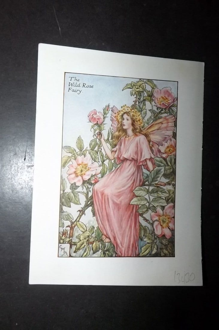 Cicely Mary Barker 1940's Flower-Fairy Print. Wild Rose Fairy: Vintage Lithograph Published C1935-45 by Blackie & Son, London & Glasgow for the "Flower-Fairies" Series by Cicely Mary Barker. Reverse side blank. Paper Size: 5.5 x 4 inch (14 x 10cm)