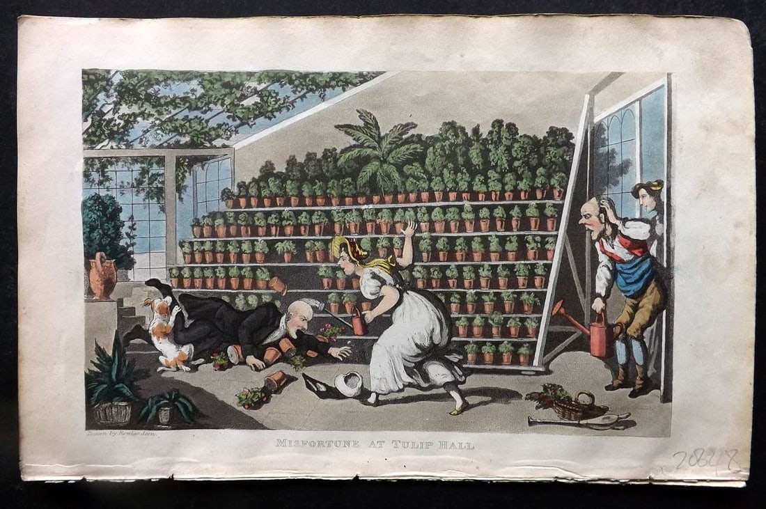 Rowlandson Doctor Syntax 1855 HCol Print. Misfortune at Tulip Hall (1 of 1)