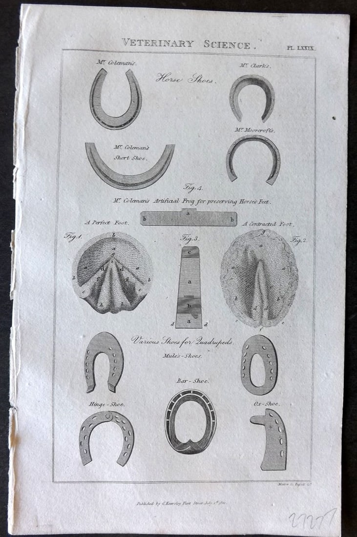 Good, John 1813 Antique Print. Veterinary Science 79 Horse Shoes (1 of 1)