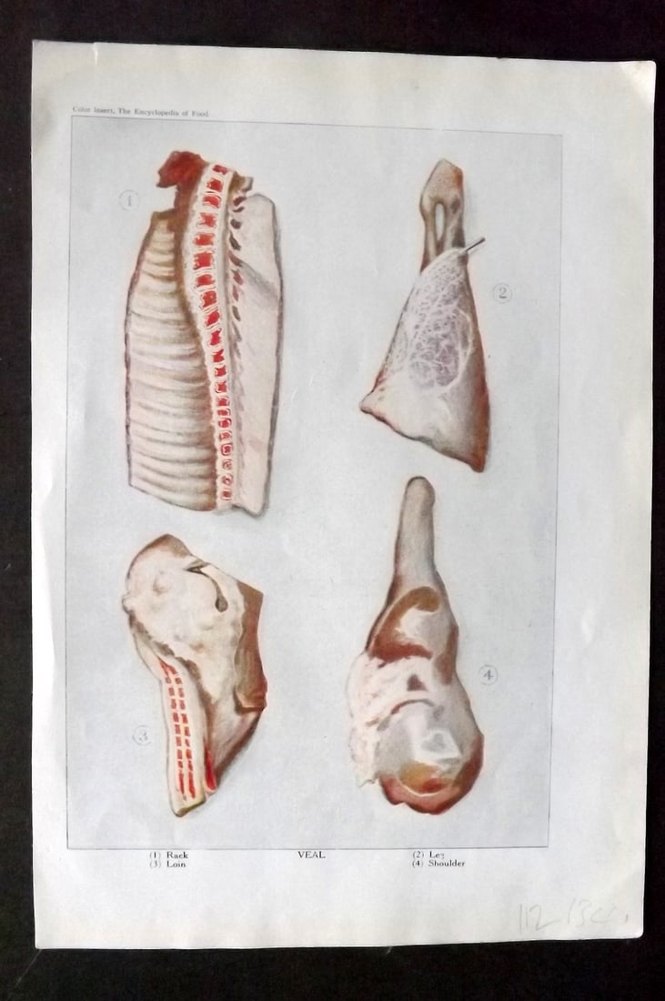 Ward, Artemas 1923 Food Print. Veal (1 of 1)
