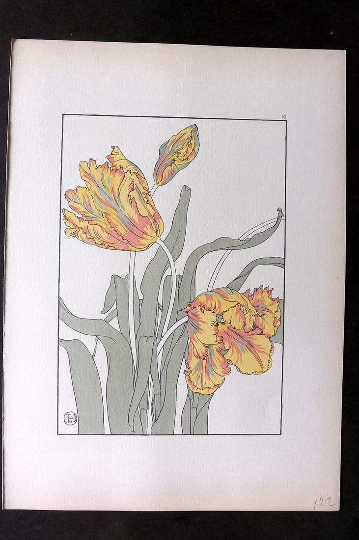 Foord, Jeannie 1901 Folio Art Nouveau Pochoir. Parrot Tulip 16 (1 of 1)