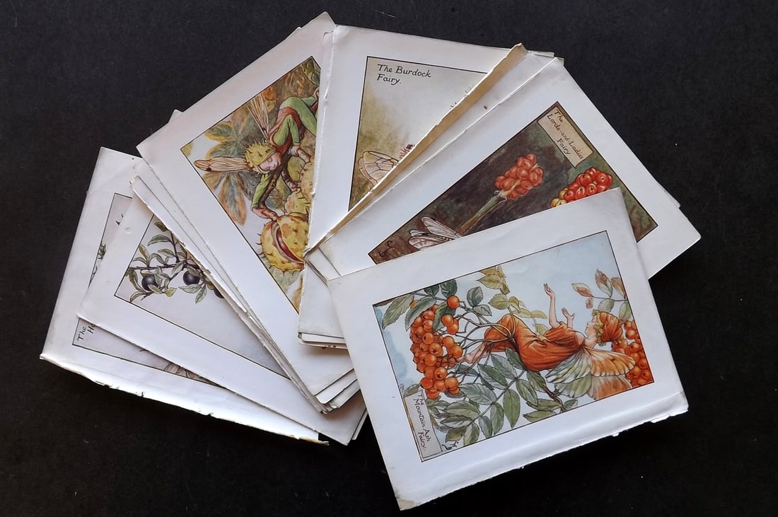 Barker, Cicely Mary C1940 Lot of 24 Flower-Fairy Prints - Autumn Fairies (1 of 4)