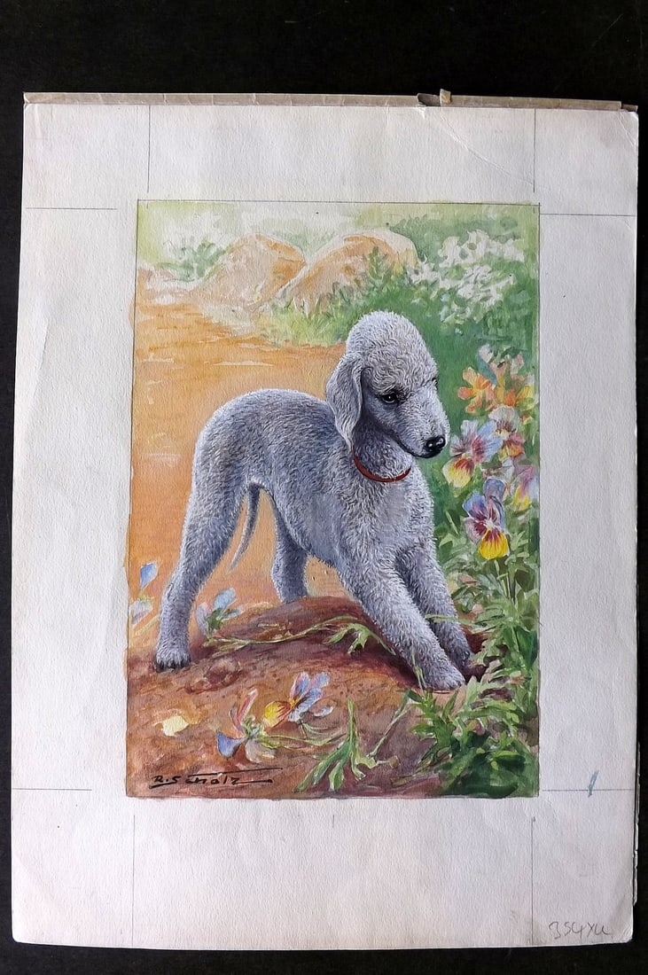 Scholz, Robert C1950 Original Watercolor. Bedlington Terrier Dog (1 of 2)