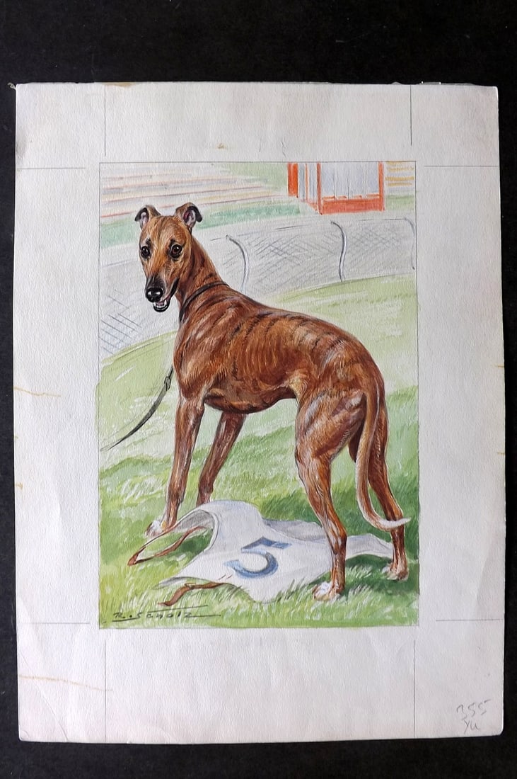 Scholz, Robert C1950 Original Watercolor. Greyhound Racing Dog. Sports Painting (1 of 2)