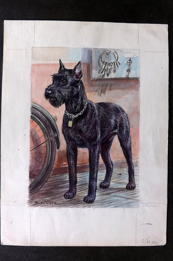 Scholz, Robert C1950 Original Watercolor. Schnauzer Dog (1 of 2)