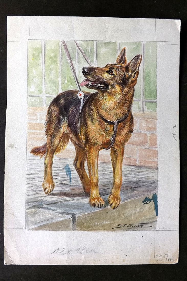 Scholz, Robert C1950 Original Watercolor. German Shepherd Alsatian Dog (1 of 2)
