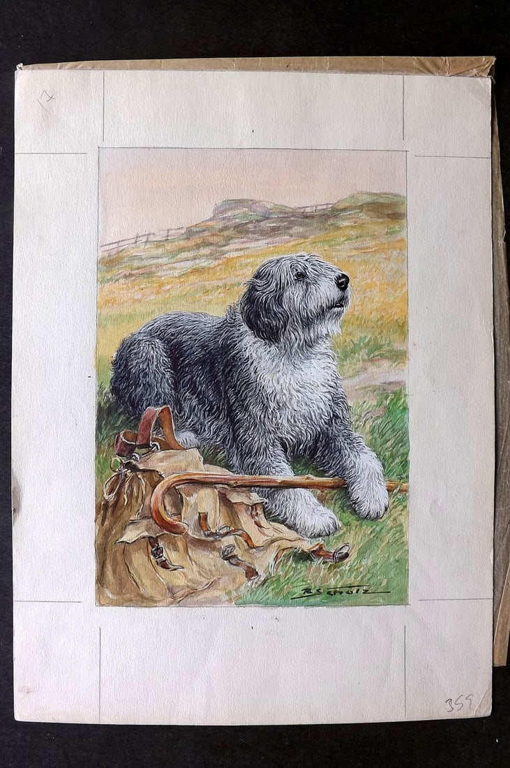 Scholz, Robert C1950 Original Watercolor. Old English Sheepdog: High Standard Original Watercolour on paper by Robert Scholz (German, active 1950's and 1960's) His watercolours were reproduced in the "Berliner Morgenpost" and other Magazines and Periodicals. Paper