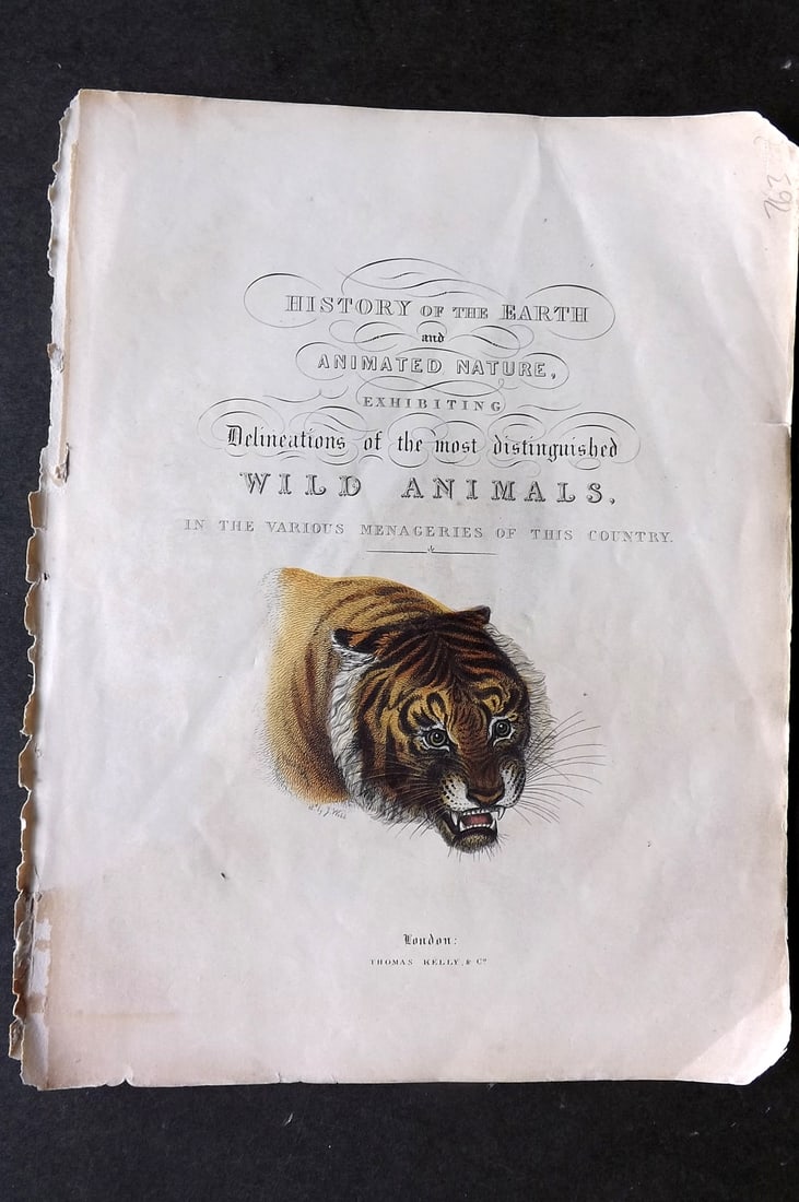 Buffon, Smellie & Huish 1862 Hand Col Print. Tiger. Iillus. Title Page (1 of 1)