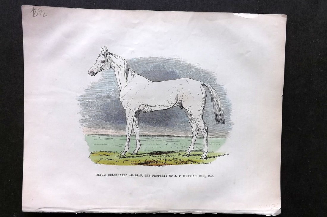 Buffon & Huish 1862 HCol Arabian Horse Print. Inaum Property of J. F. Herring (1 of 1)