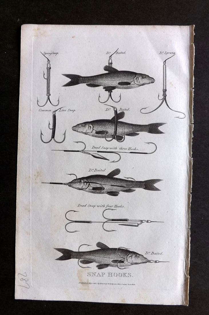 Daniel, William 1801 Antique Fish Print. Snap Hooks. Angling Fishing (1 of 1)