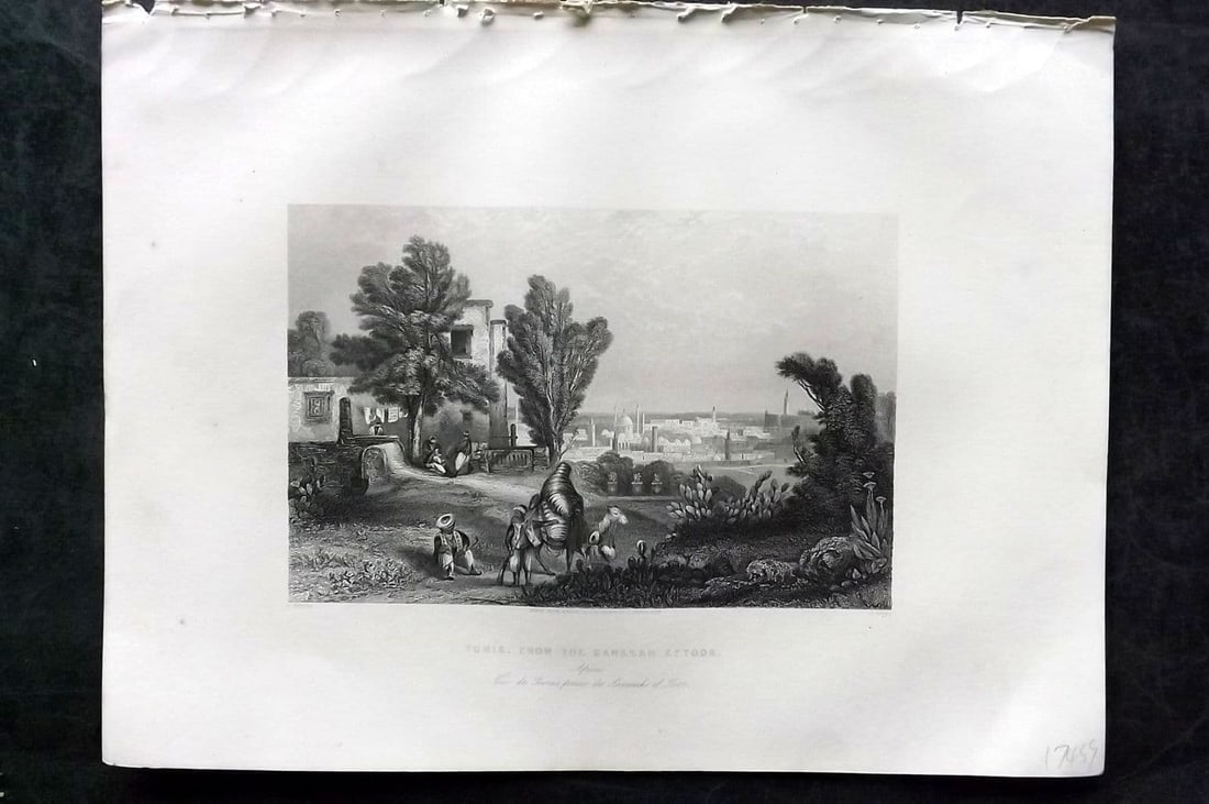 Sherer 1881 Folio Print. Tunis, from the Saneeah Estoor. Tunisia: Antique Folio Steel Engraving Published 1879-81, London for "The Classic Lands of Europe Embracing Italy, Sicily and Greece" by John Sherer. Paper Size: 12 x 9.5 inch (31x 24cm). Good Condition.