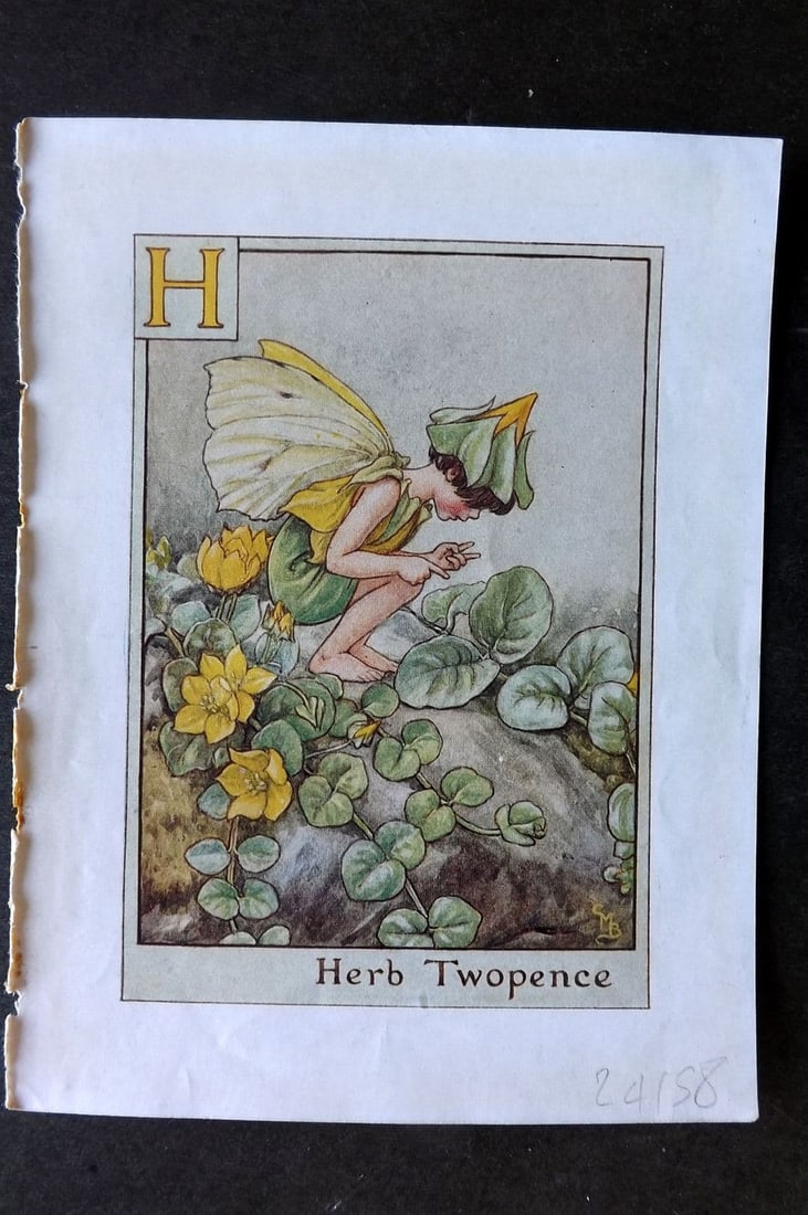 Cicely Mary Barker C1940 Flower-Fairy Alphabet Print. H - Herb Twopence: Vintage Lithograph Published C1935-45 by Blackie & Son, London & Glasgow for the "Flower-Fairies" Series by Cicely Mary Barker. Reverse side blank. Paper Size: 5.5 x 4 inch (14 x 10cm). Good Condition