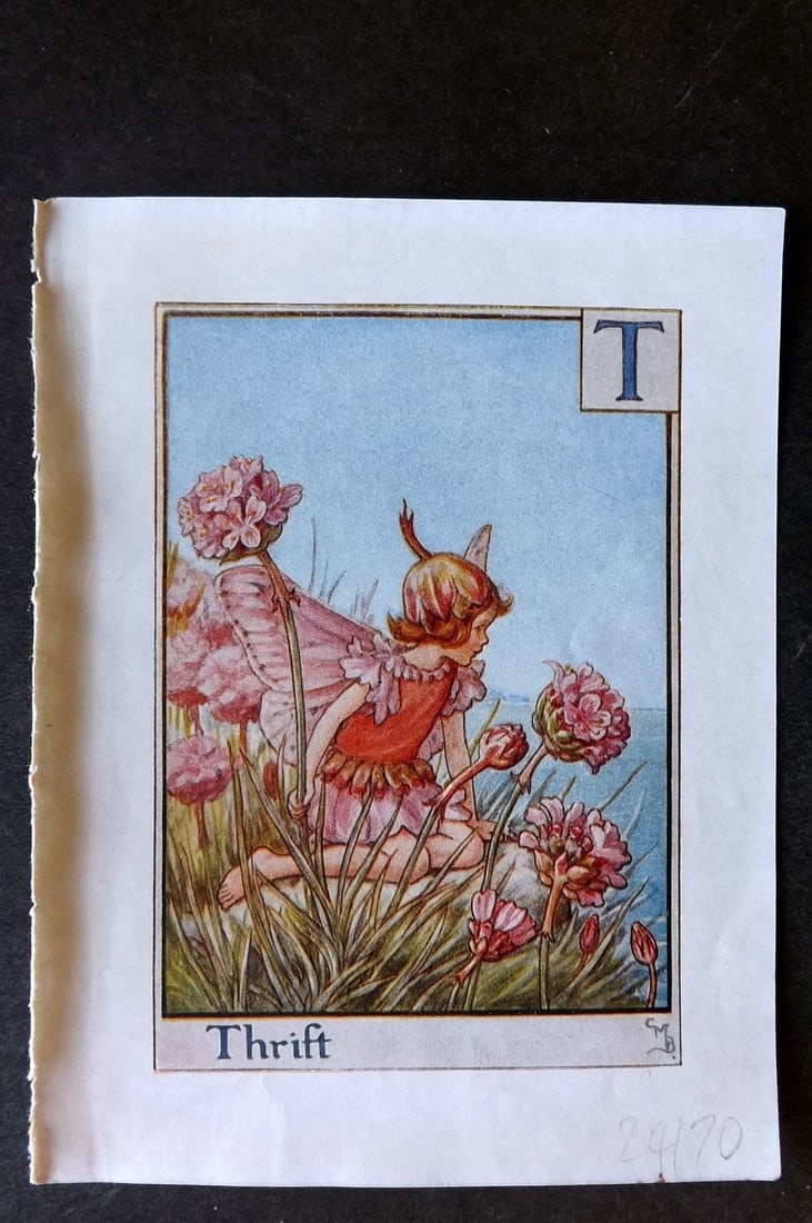 Cicely Mary Barker C1940 Flower-Fairy Alphabet Print. T - Thrift (1 of 1)