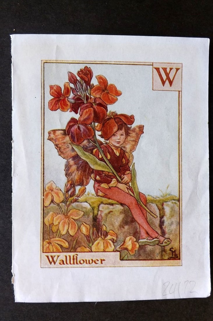 Cicely Mary Barker C1940 Flower-Fairy Alphabet Print. W - Wallflower: Vintage Lithograph Published C1935-45 by Blackie & Son, London & Glasgow for the "Flower-Fairies" Series by Cicely Mary Barker. Reverse side blank. Paper Size: 5.5 x 4 inch (14 x 10cm). Good Condition