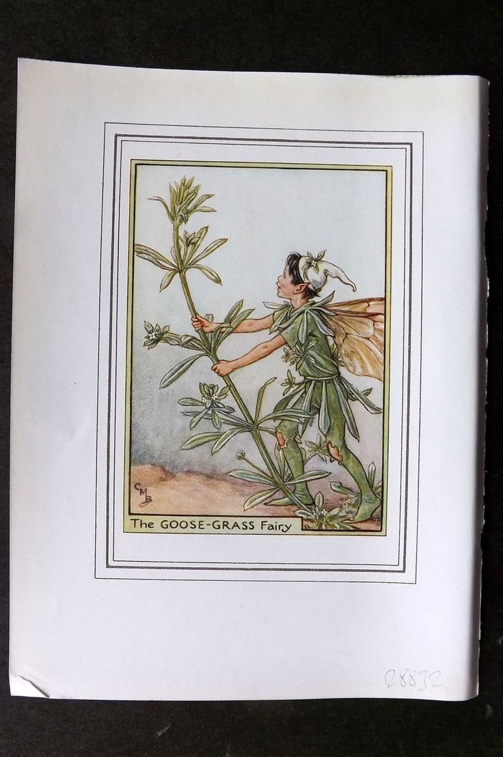 Cicely Mary Barker C1930 Vintage Flower Fairy Print. Goose Grass Fairy: Antique Lithograph Published C1930, London for "Fairies of the Flowers and Trees" by Cicely Mary Barker. Comprising of the Wayside, Garden and Tree Fairies. Slightly larger than the usual Flower-Fairi