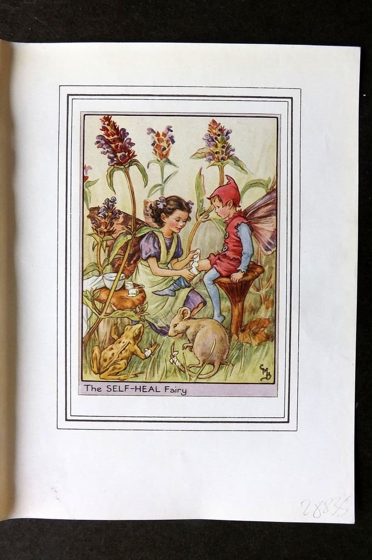 Cicely Mary Barker C1930 Vintage Flower Fairy Print. Self-Heal Fairy: Antique Lithograph Published C1930, London for "Fairies of the Flowers and Trees" by Cicely Mary Barker. Comprising of the Wayside, Garden and Tree Fairies. Slightly larger than the usual Flower-Fairi