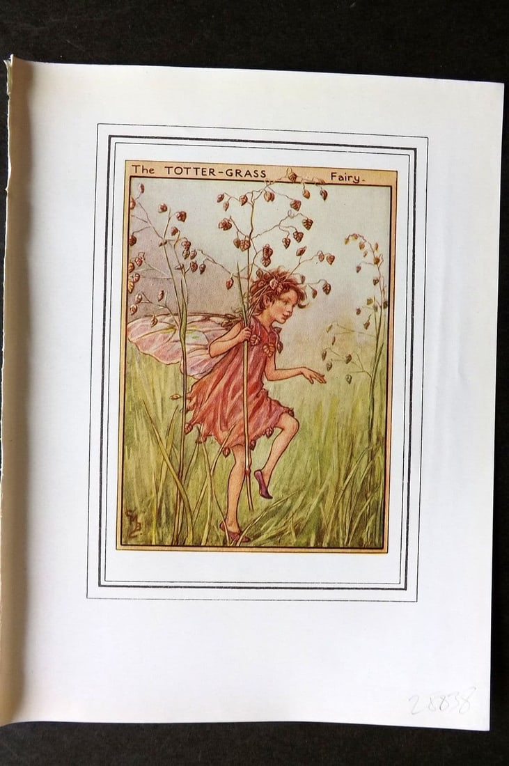 Cicely Mary Barker C1930 Vintage Flower Fairy Print. Totter Grass Fairy: Antique Lithograph Published C1930, London for "Fairies of the Flowers and Trees" by Cicely Mary Barker. Comprising of the Wayside, Garden and Tree Fairies. Slightly larger than the usual Flower-Fairi