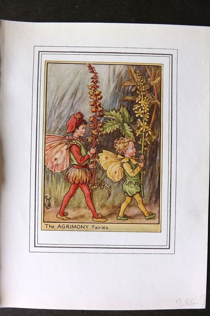 Cicely Mary Barker C1930 Vintage Flower Fairy Print. Agrimony Fairies: Antique Lithograph Published C1930, London for "Fairies of the Flowers and Trees" by Cicely Mary Barker. Comprising of the Wayside, Garden and Tree Fairies. Slightly larger than the usual Flower-Fairi