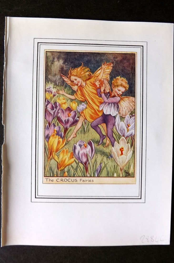 Cicely Mary Barker C1930 Vintage Flower Fairy Print. Crocus: Antique Lithograph Published C1930, London for "Fairies of the Flowers and Trees" by Cicely Mary Barker. Comprising of the Wayside, Garden and Tree Fairies. Slightly larger than the usual Flower-Fairi