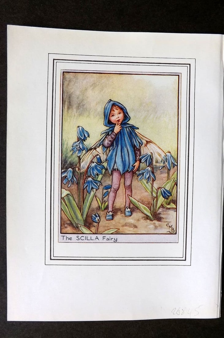 Cicely Mary Barker C1930 Vintage Flower Fairy Print. Scilla: Antique Lithograph Published C1930, London for "Fairies of the Flowers and Trees" by Cicely Mary Barker. Comprising of the Wayside, Garden and Tree Fairies. Slightly larger than the usual Flower-Fairi