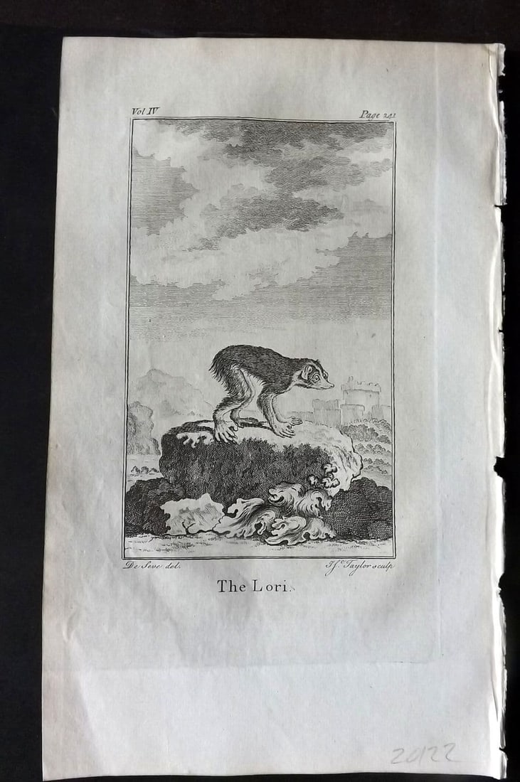Goldsmith 1779 Antique Print. Lori: Antique Copper Plate Published 1779, London for "An History of the Earth and Animated Nature" by Oliver Goldsmith. Paper Size: 8 x 5 inch (21 x 13cm). Good Condition.