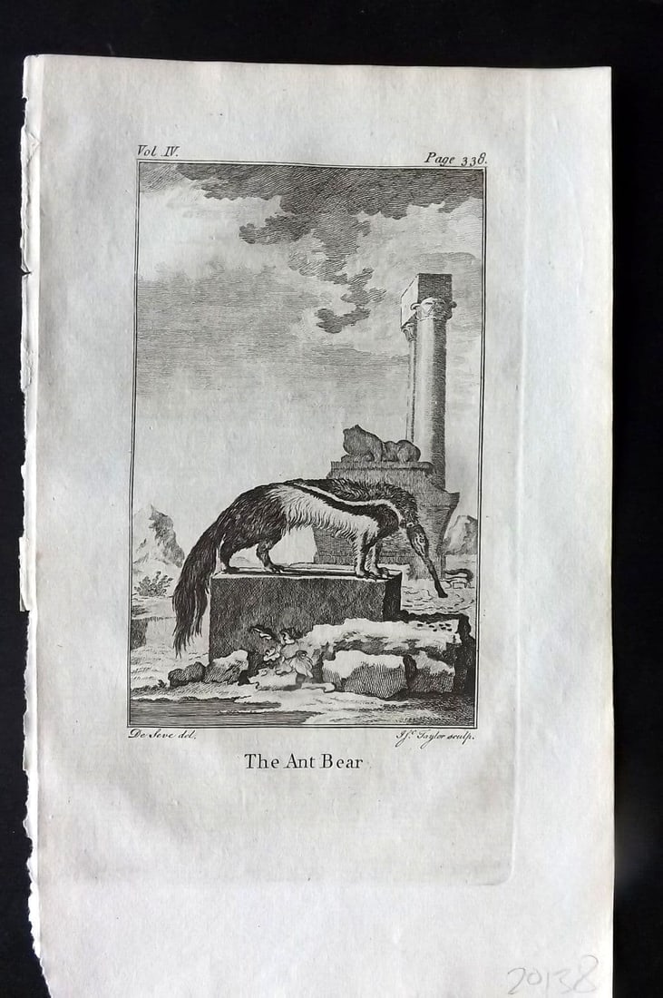 Goldsmith 1779 Antique Print. Ant Bear Ant Eater: Antique Copper Plate Published 1779, London for "An History of the Earth and Animated Nature" by Oliver Goldsmith. Paper Size: 8 x 5 inch (21 x 13cm). Good Condition.