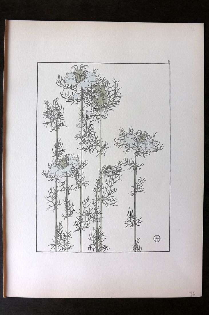 Foord, Jeannie 1901 Folio Art Nouveau Pochoir. Love in a Mist 08 (1 of 1)