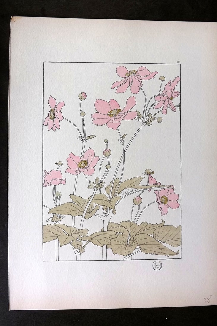 Foord, Jeannie 1901 Folio Art Nouveau Pochoir. Japanese Anemone 18 (1 of 1)